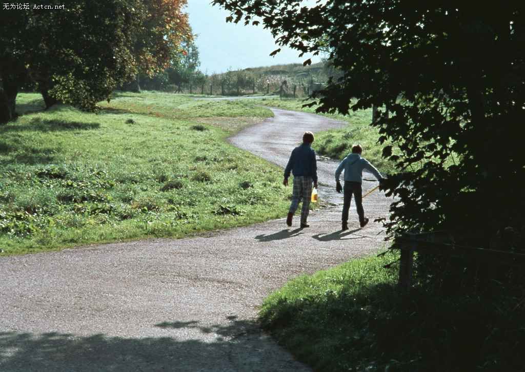 dlbk099.jpg