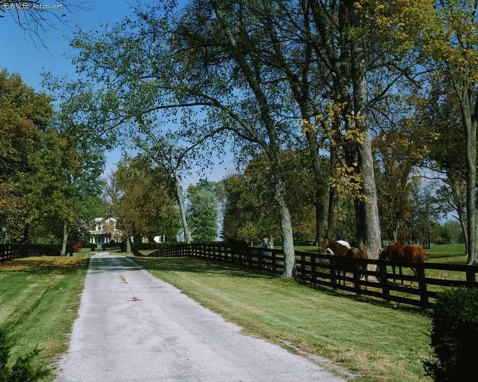dlbk002.jpg