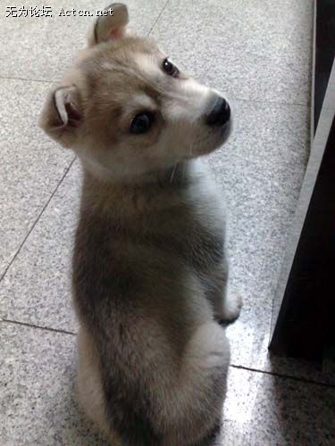20081215085.jpg