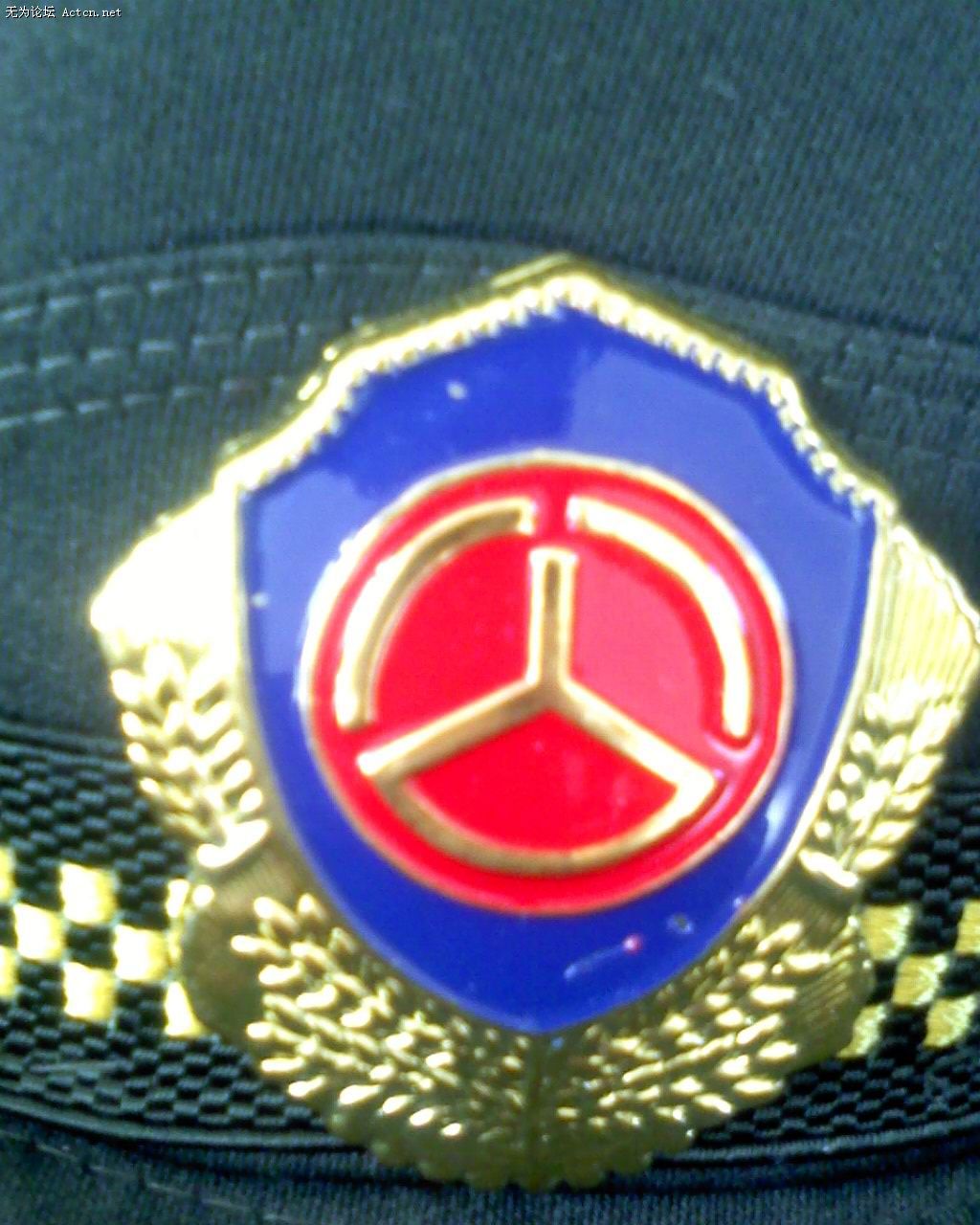 01.jpg