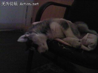 SP_A0901.jpg