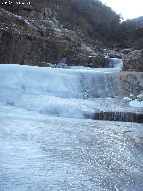 SDC10938.JPG