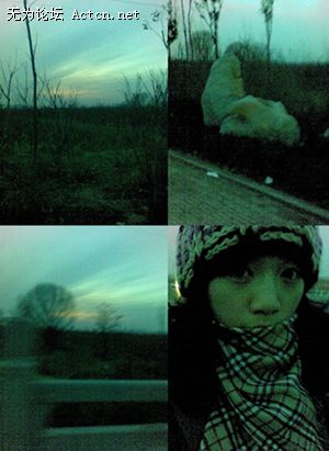 δ-5.jpg