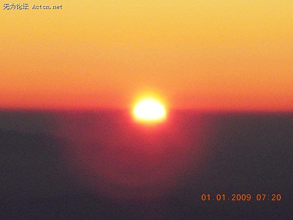 Ƭ1 021.jpg