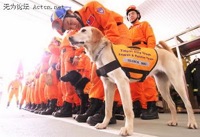 2008528112617467[1].jpg