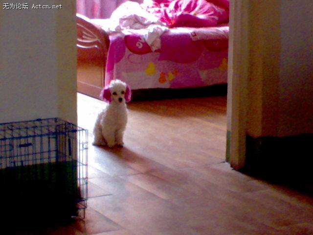 ͼƬ0097.jpg