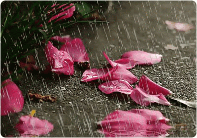 54125cf9t5806b610a1b1.gif