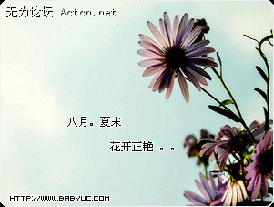 50aeeb964555f718d66b2&amp;000.gif