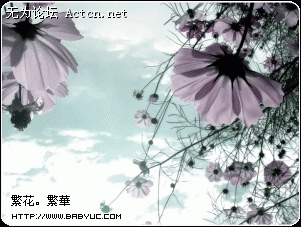50aeeb964555f718d883f&amp;000.gif