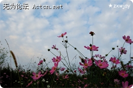4b49eef445d8069d5ef5d.jpg