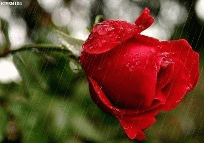 54125cf9t5b9270d17920.gif
