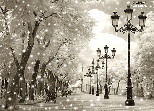 54125cf9t5809c1467a2a.gif