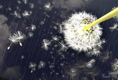 54125cf9t5806c8be666e.gif