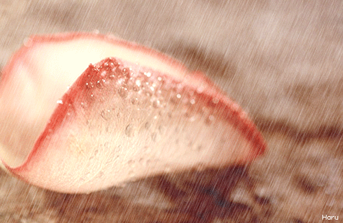 54125cf9t6f33df33cc9b.gif