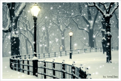 54125cf9t5809c05a1b41.gif