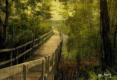 54125cf9t58084f036c7e.gif