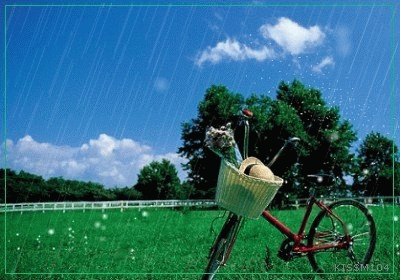 2008062802151355.gif