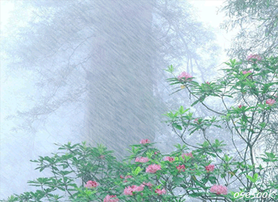 2008062802145428.gif
