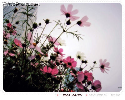 cba4fe01dbfaa9091c958324.jpg