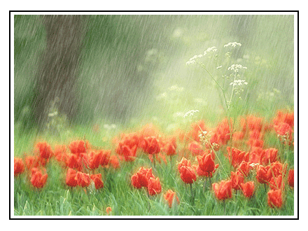 2008062802144671.gif
