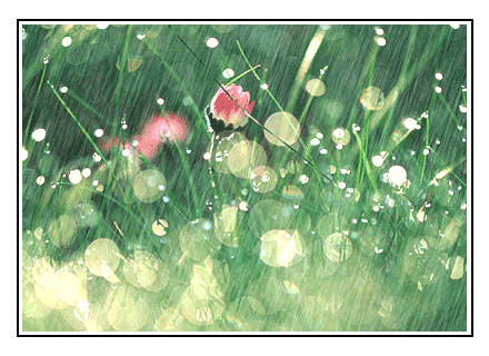 2008062802144507.gif