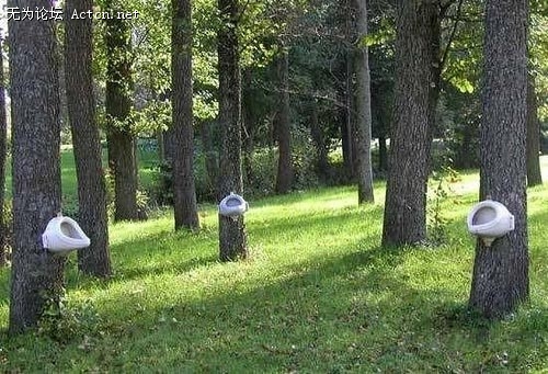 13068772.jpg