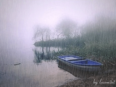 047.gif