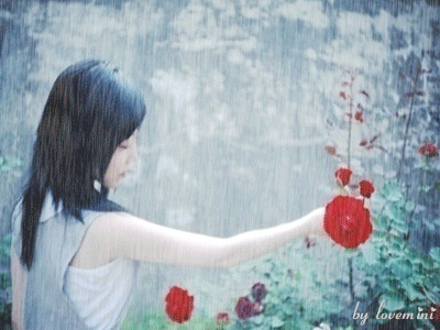037.gif