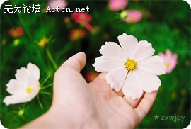 4b49eef406fc00af5c280.jpg