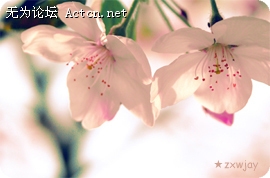 4b49eef445d8072b20d03.jpg
