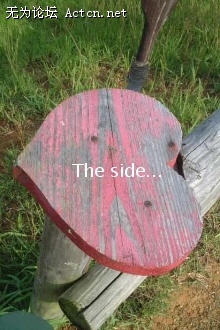0114330463E.jpg