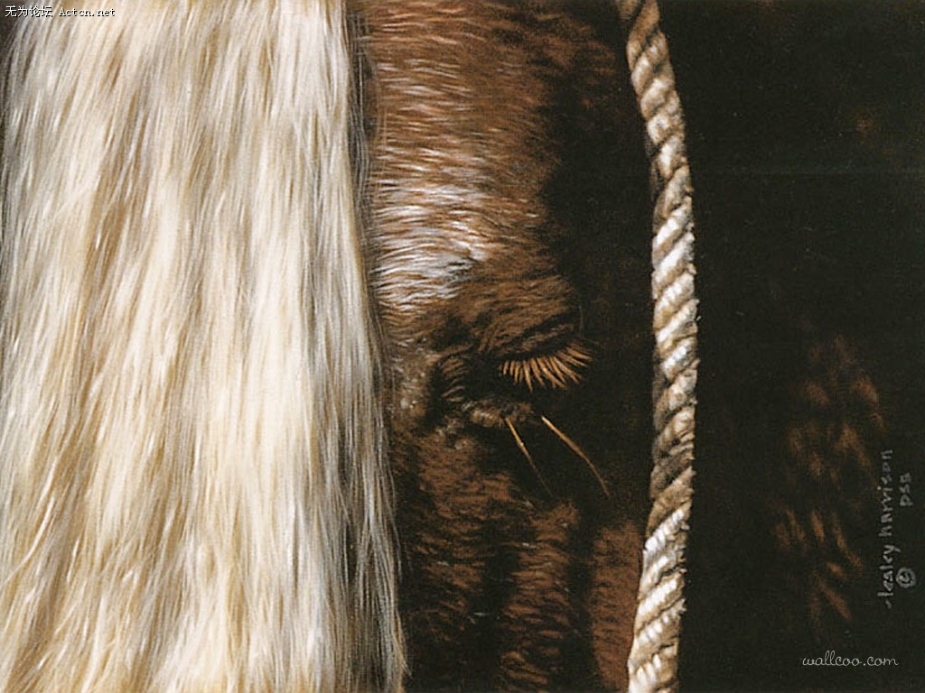 Lesley_Harrison_07.jpg