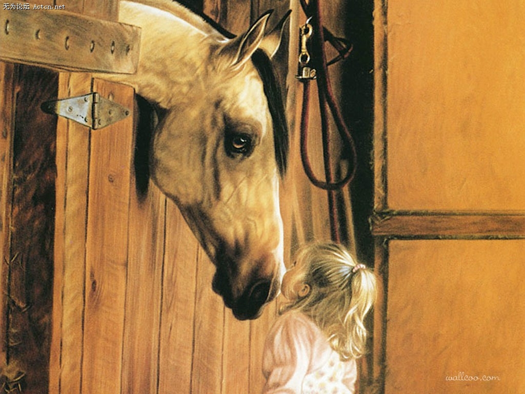 Lesley_Harrison_30.jpg