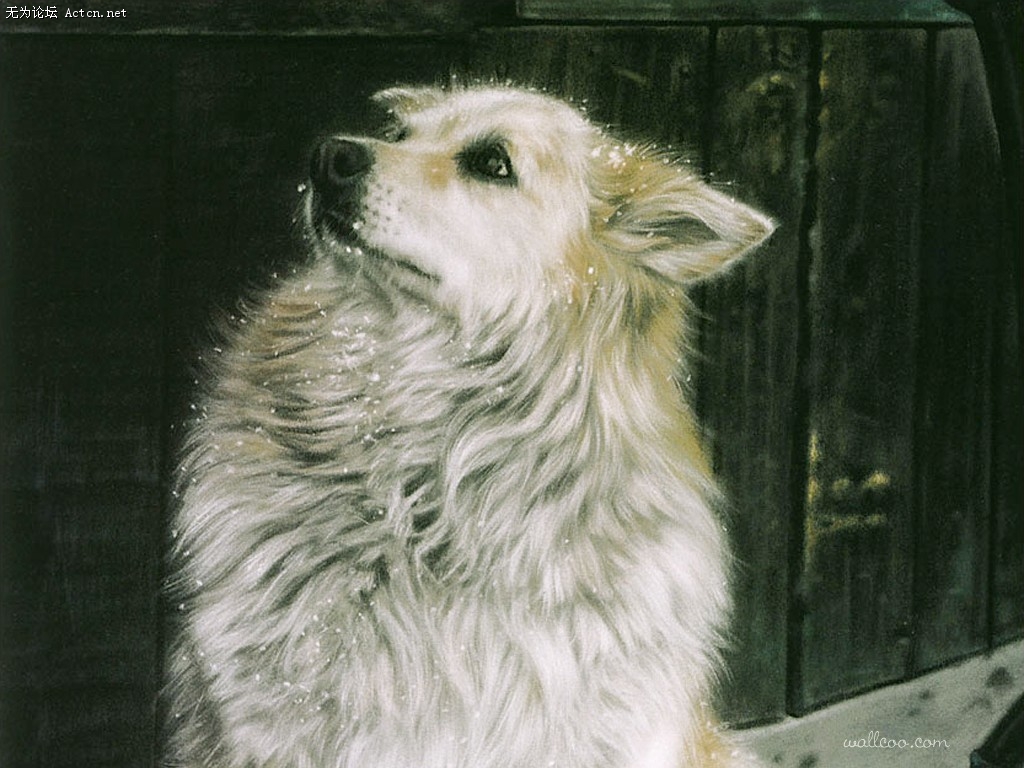 Lesley_Harrison_31.jpg