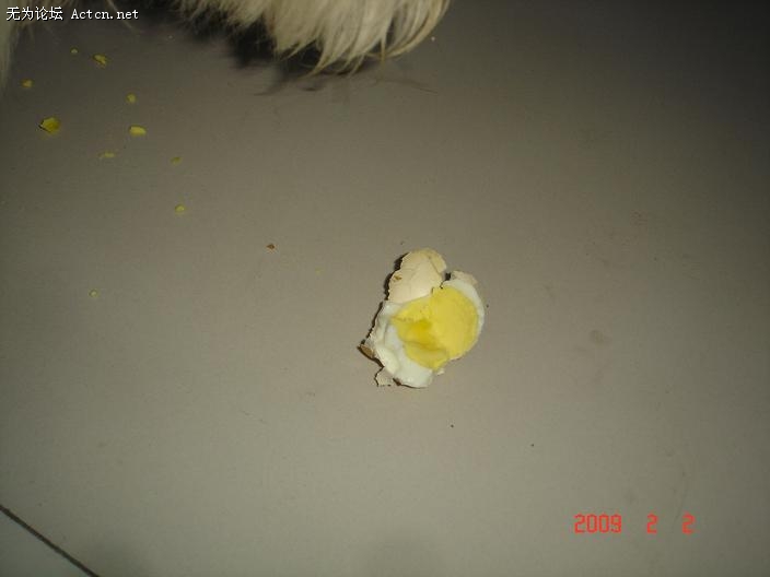 DSC08114.JPG