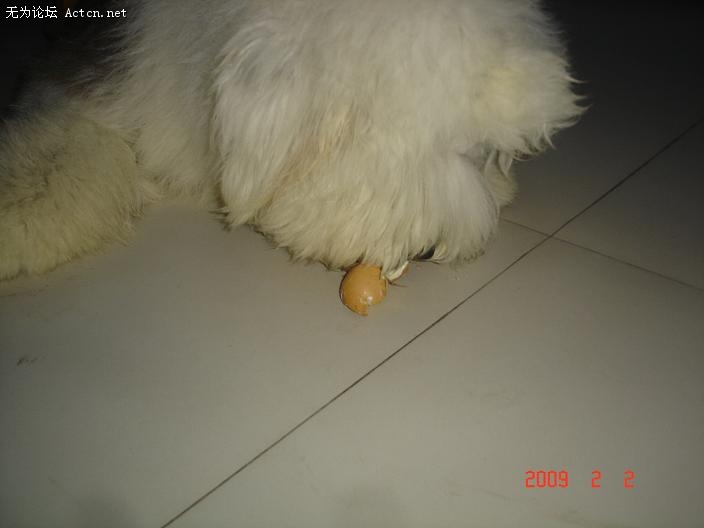 DSC08113.JPG