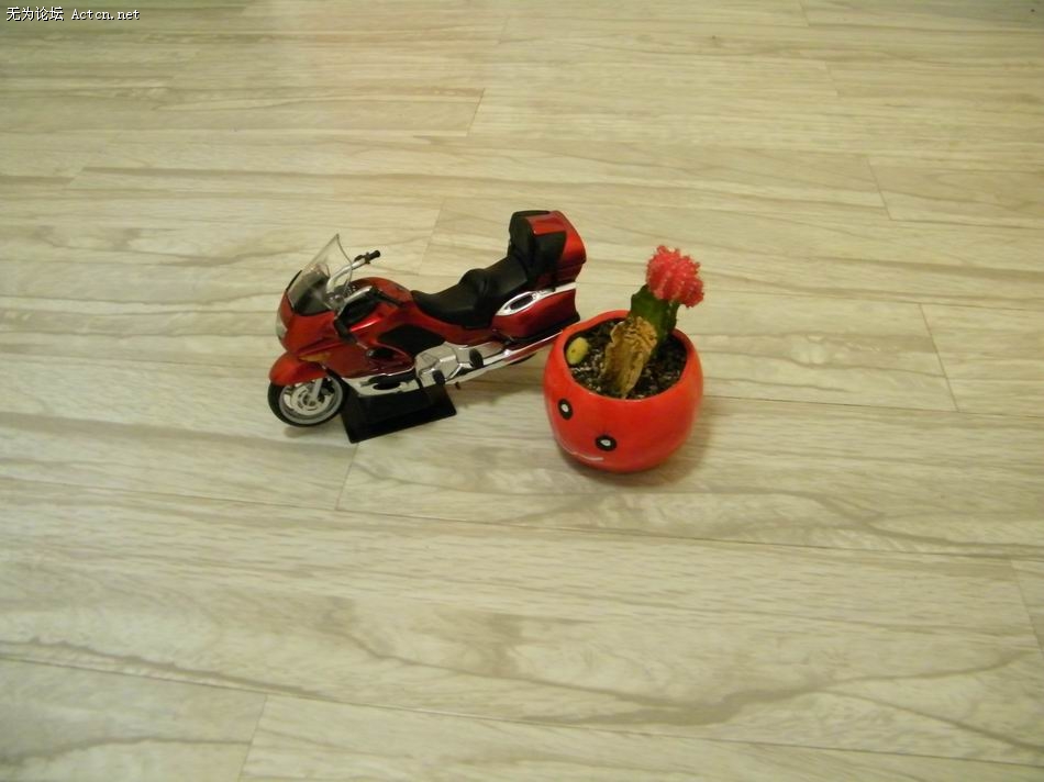 С DSCF0132.JPG