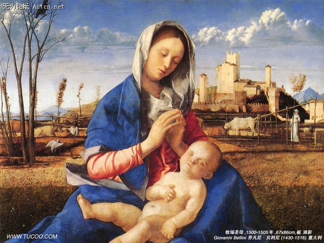 pic84.jpg