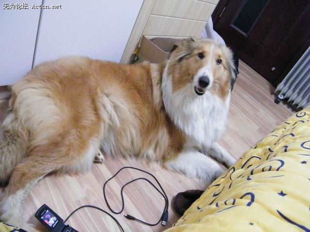 С DSCF0145.JPG
