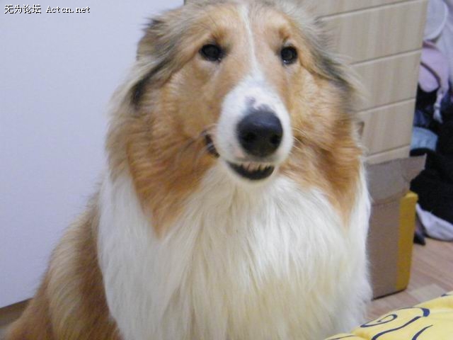 С DSCF0140.JPG