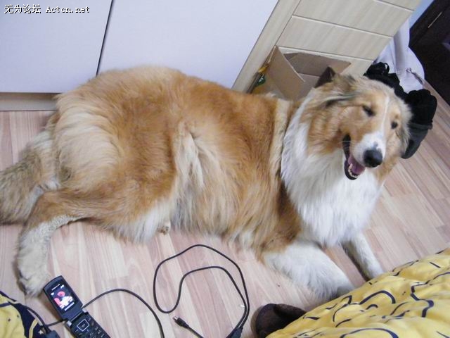С DSCF0147.JPG