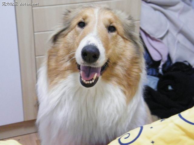 С DSCF0138.JPG