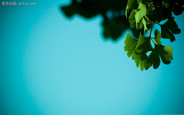 through_my_lens_autumnness.jpg