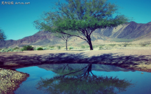 through_my_lens_stillWS.jpg