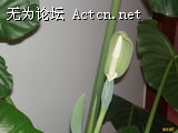 m_120356508232351.jpg