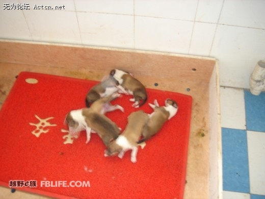 20080706_a37d88728c23186926fc8JIEc0Nn3tU1.jpg.thumb.jpg