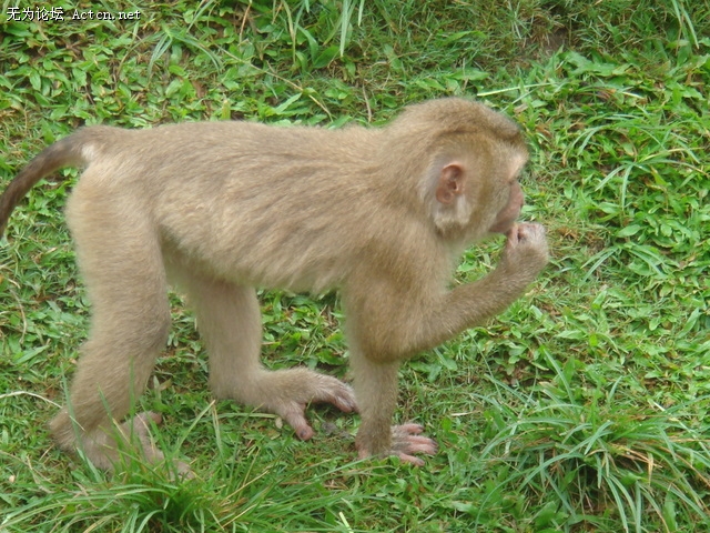 DSC03518.jpg