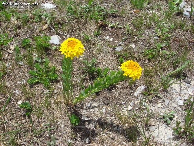 DSC03438.jpg