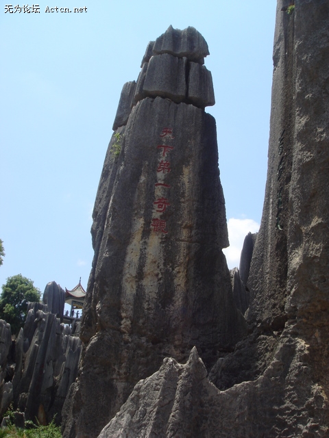 DSC03180.jpg