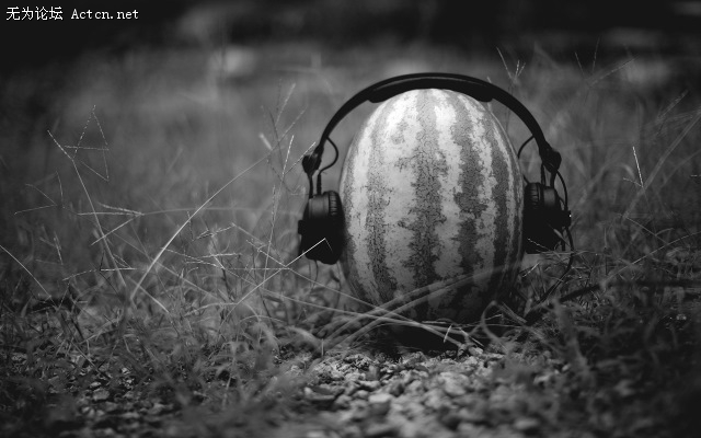 summer_melon.jpg